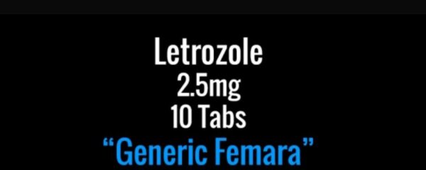 Letrozole "Letro" 2.5mg x 10 Tabs